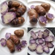 408863-aardappels-mecklenburger-schecke