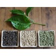 209499-peper-zwarte-pepe-nero