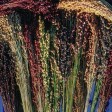 676300-sorghum-bicolor-colored-upright-gemengd
