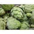 013000-artisjok-green-globe-groene-van-laon
