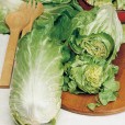 070000-groenlof-pan-di-zucchero-green-and-blond