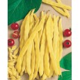 049200-stoksnijbonen-wonder-van-venetie-or-du-rhin-rhinegold