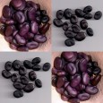049850-tuinbonen-black-russian