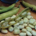 050280-tuinbonen-duet