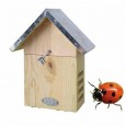 863620-insectennest-lieveheersbeest-kastje