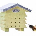 863632-insectennest-bijenhuis-hout