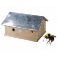 863635-insectennest-hommelhuis