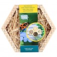 863648-insectennest-hexagon-insecten
