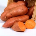 409601-zoete-aardappels-beauregard-improved