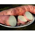 409609-zoete-aardappels-s17-003
