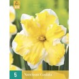 733162-narcissus-cassata