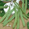 047000-stamsnijbonen-admires-marconi-white-seeded-navajo
