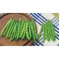 048310-stokslabonen-overvloed-type-rentegever-rentegevers-perle-sucre-sugar-pearl-perfection-zuckerperl-prinzess