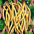 048380-stokspekbonen-neckargold