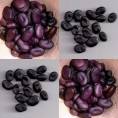 049850-tuinbonen-black-russian