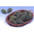 002200-alsempeer-karela-type-indra-f1-new-moon-f1