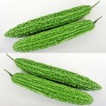 002570-alsempeer-torapi-f1-ky-green-f1-jasper-f1-best-165-f1