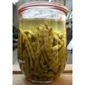 048250-stokslabonen-knoebelbuenke-knobbelboontje