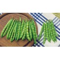 048310-stokslabonen-overvloed-type-rentegever-rentegevers-perle-sucre-sugar-pearl-perfection-zuckerperl-prinzess