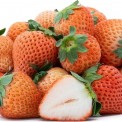 830338-aardbeien-george-pink
