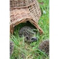 862260-nestkast-egelmand