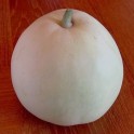 202545-appelmeloen-sakata-sweet