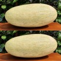202606-cantaloupmeloen-tarpeta-torpedo