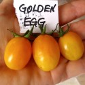 291228-olijftomaatje-golden-egg