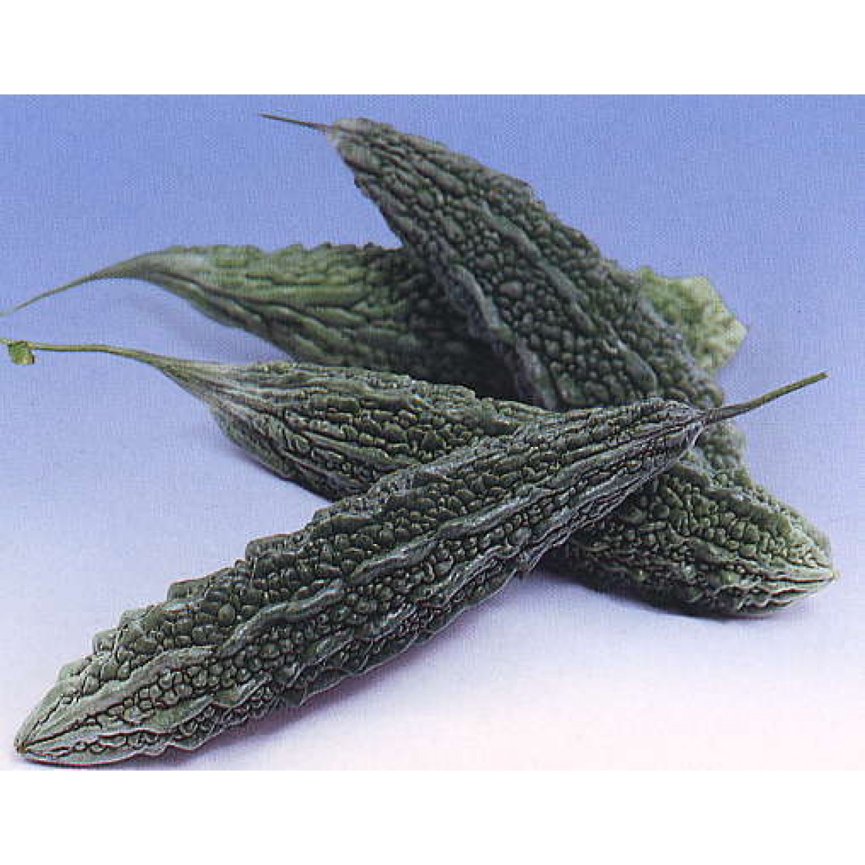 002500-alsempeer-karela-type-palee-f1-ming-shine-f1-dark-snake-f1-jadeite-f1