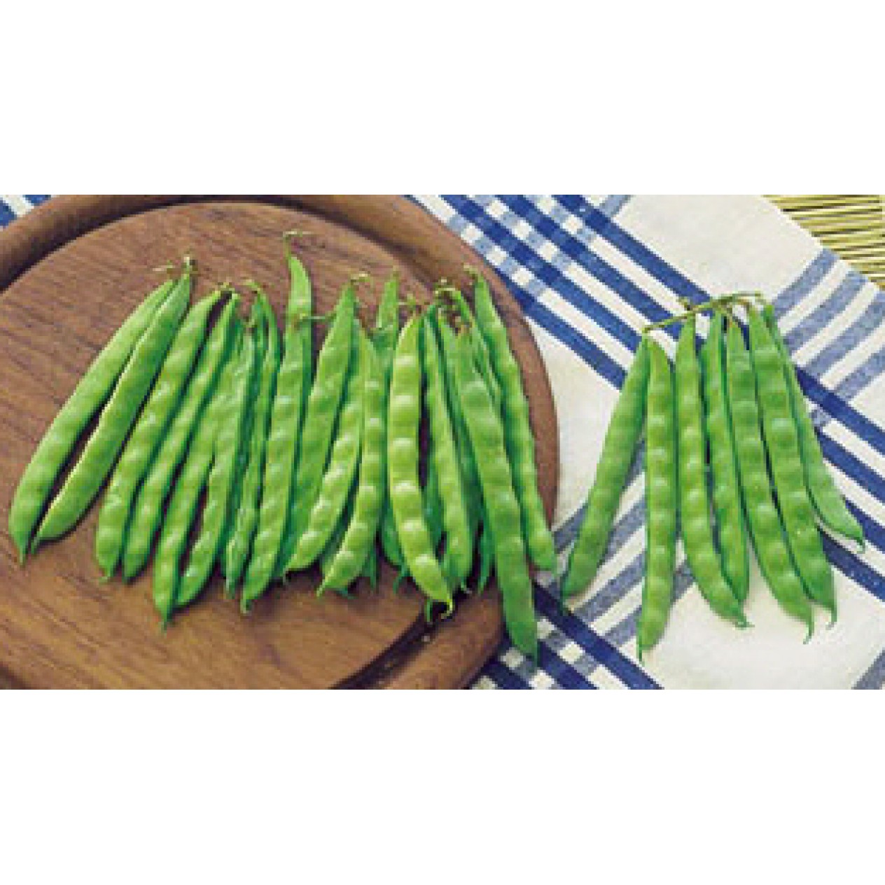 048310-stokslabonen-overvloed-type-rentegever-rentegevers-perle-sucre-sugar-pearl-perfection-zuckerperl-prinzess