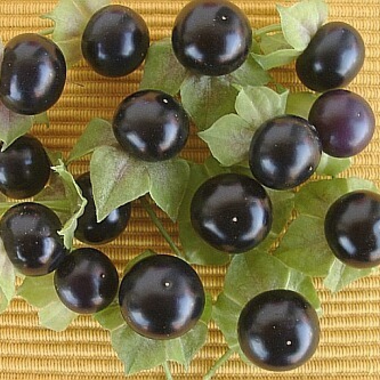 120800-jaltomato