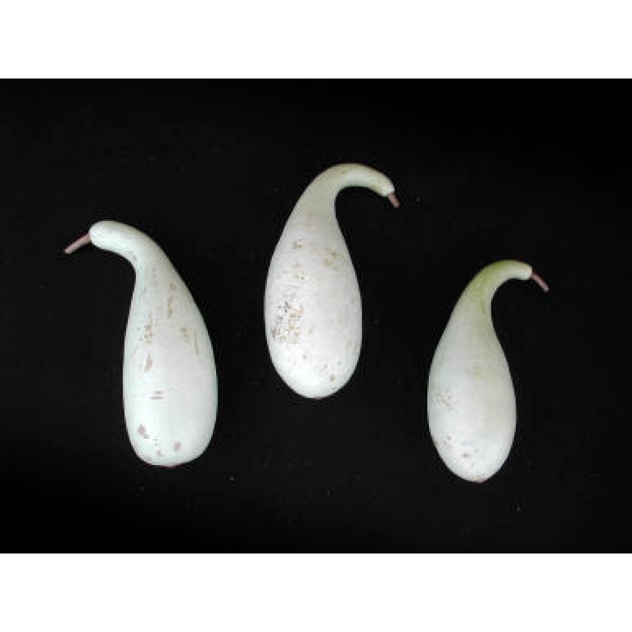 121620-kalebas-pinguin-poire-poudre-penguin