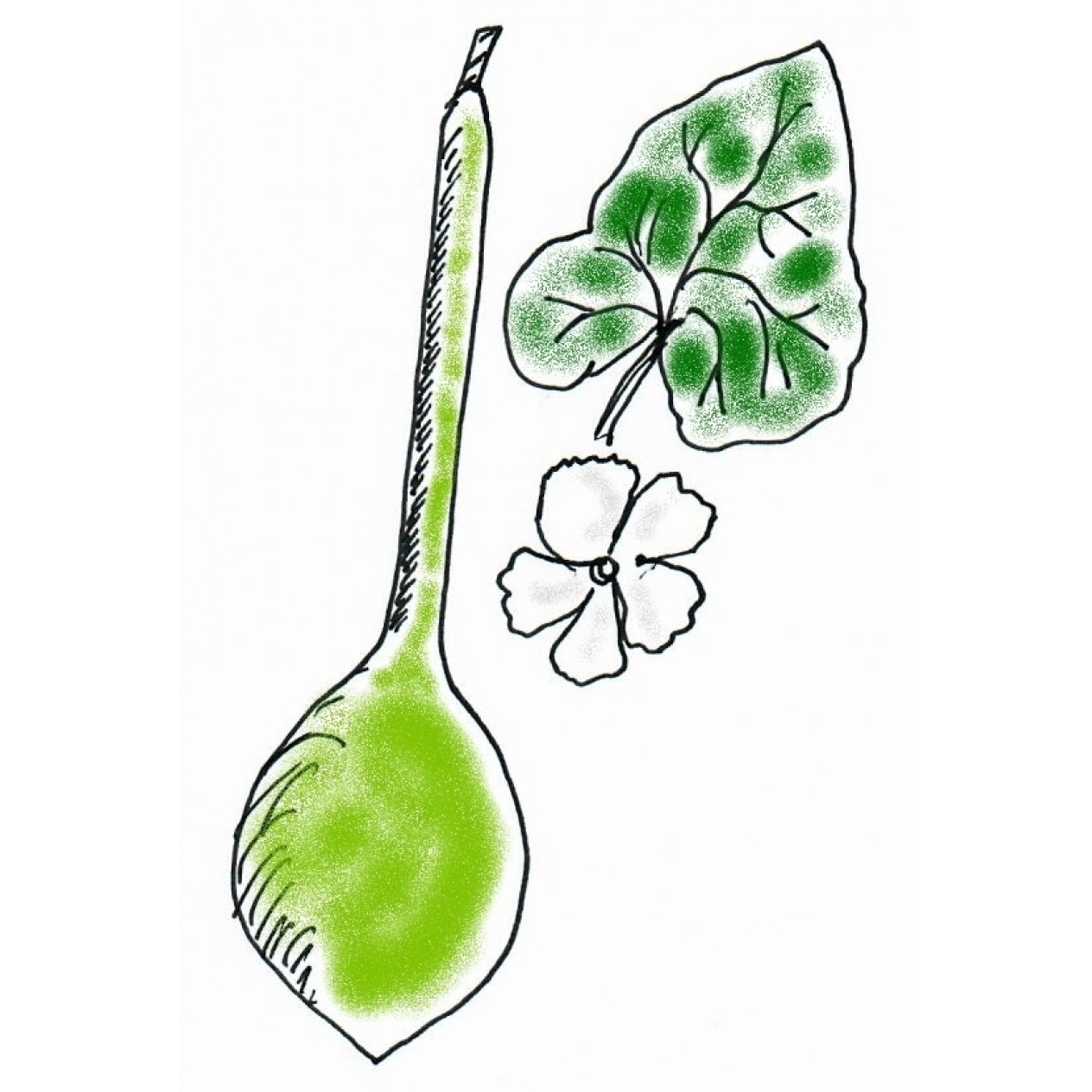 121629-kalebas-sonde