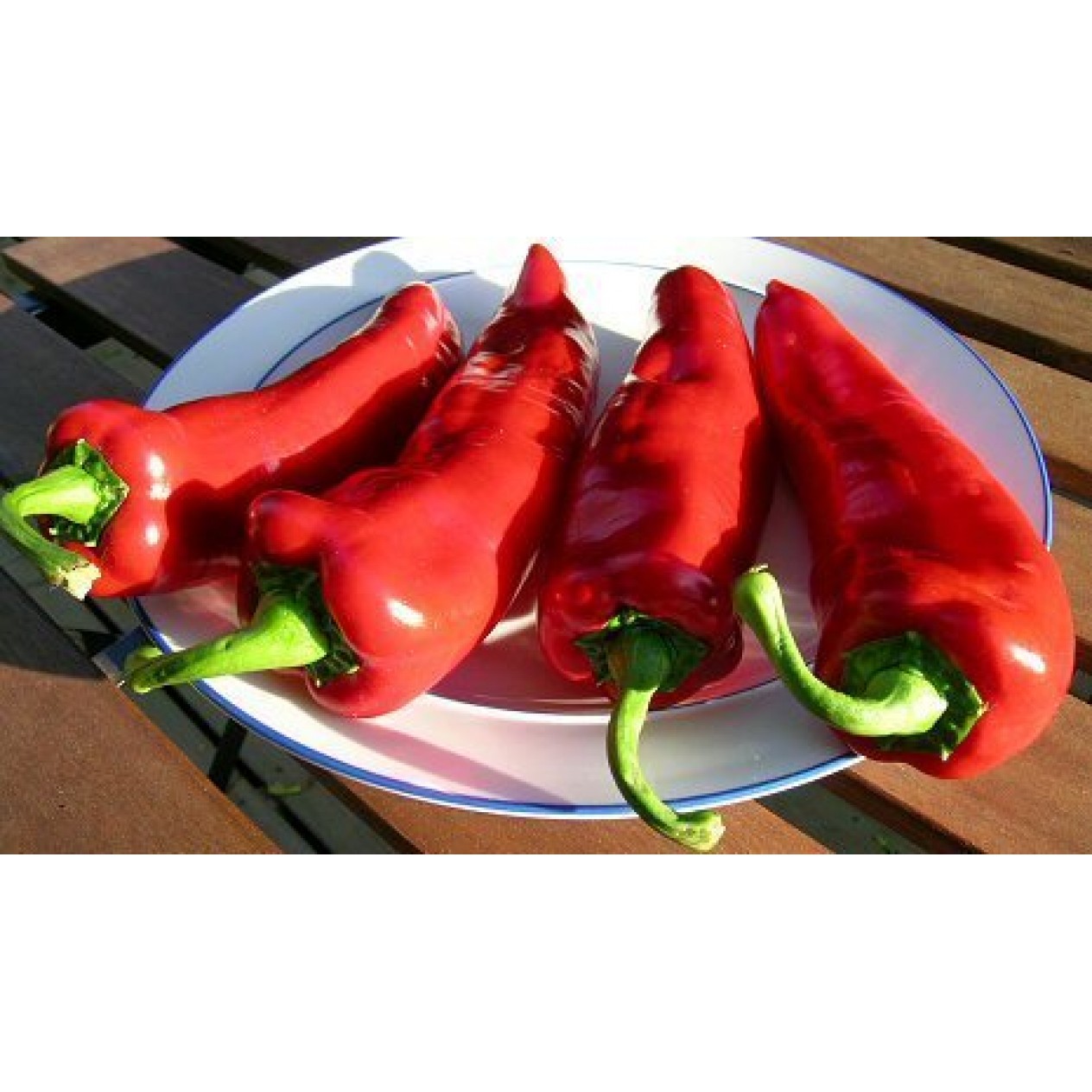 205820-paprika-corno-di-toro-rosso-kapia-capia