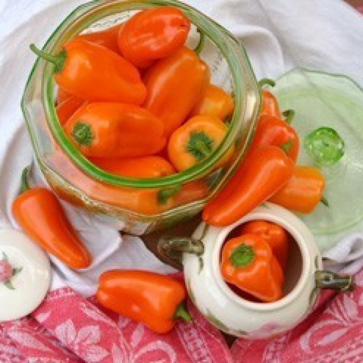 206350-paprika-yummy-gold-f1-lunchbox-orange-f1