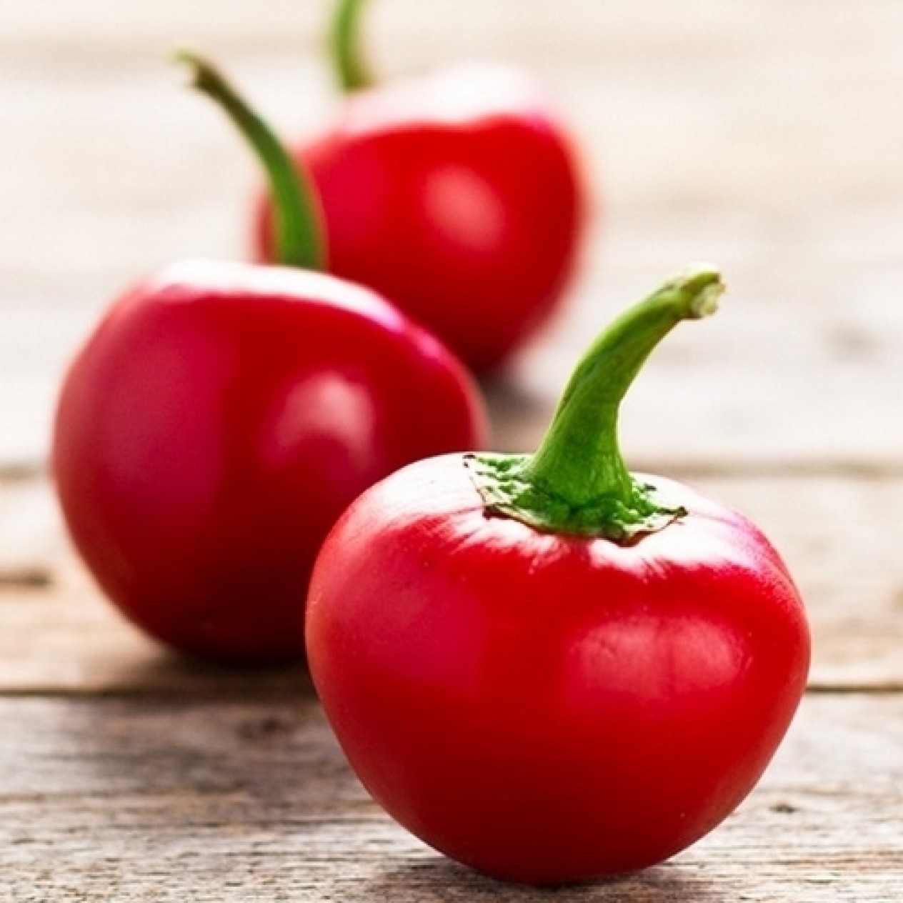 207684-peper-aji-tapachula