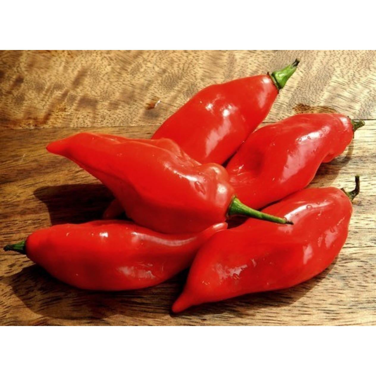 207740-peper-ajoema-type-paper-lantern-habanero-paper-lantern