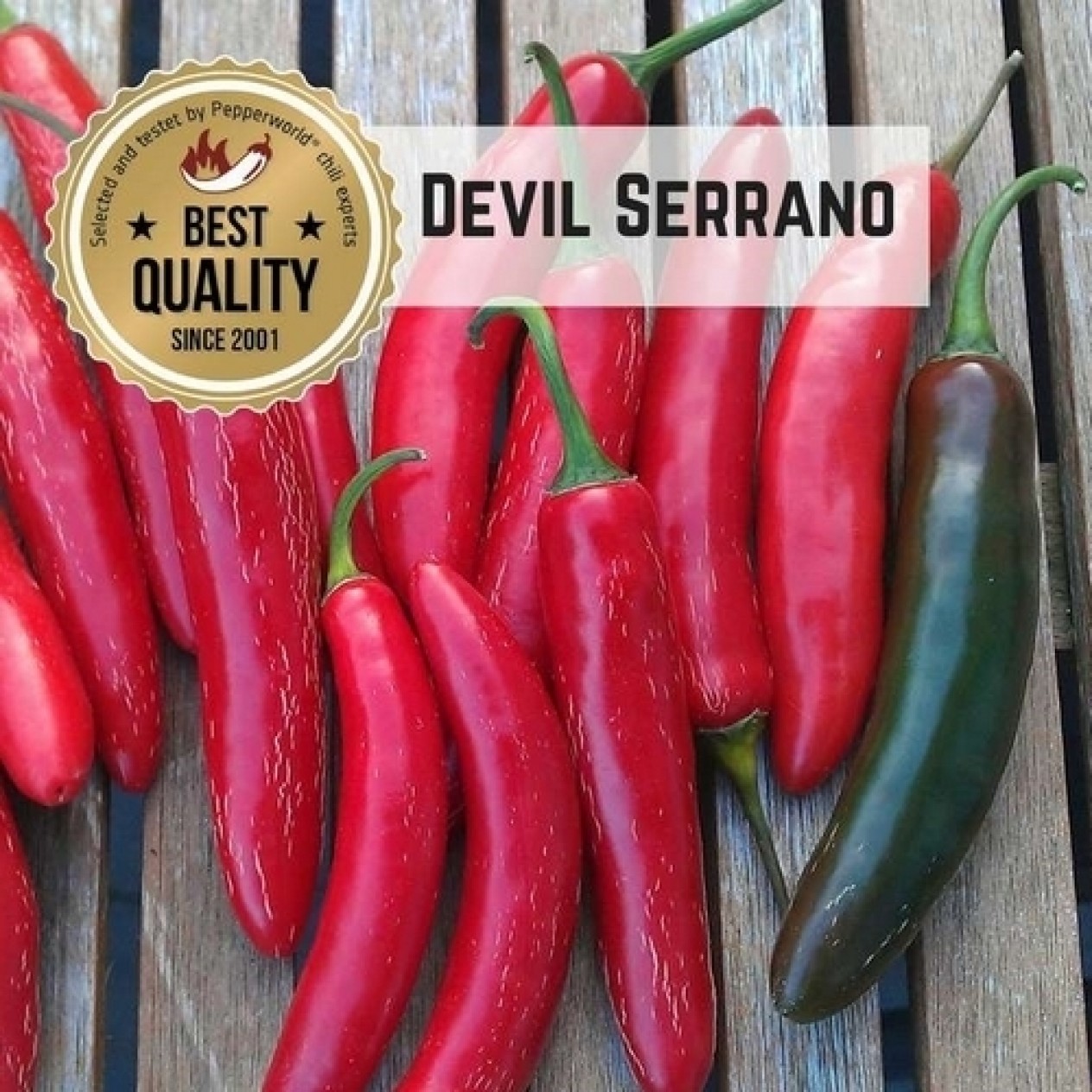 208179-peper-devil-serrano