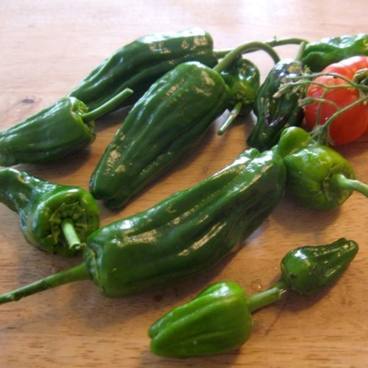 209100-peper-padron-pimientos-padron