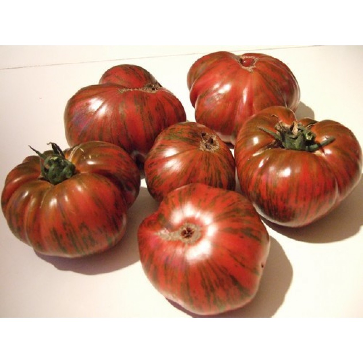 295290-vleestomaat-chocolate-stripes