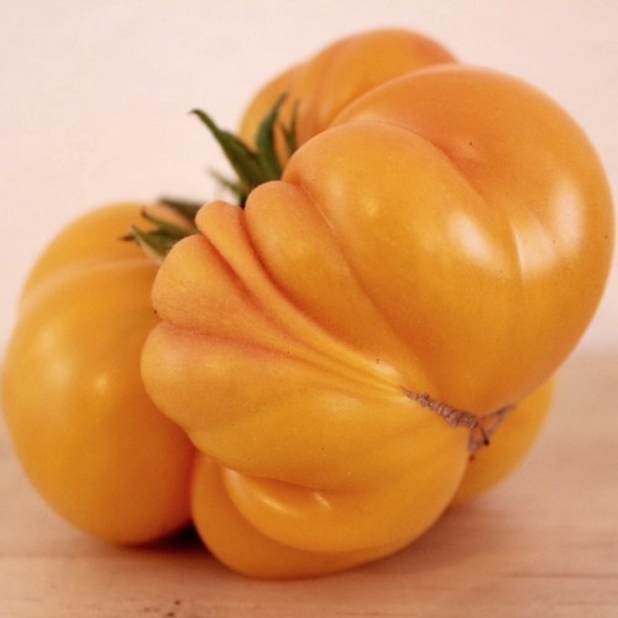 295461-vleestomaat-lillians-yellow-heirloom-gelbe-riesenfleischtomate