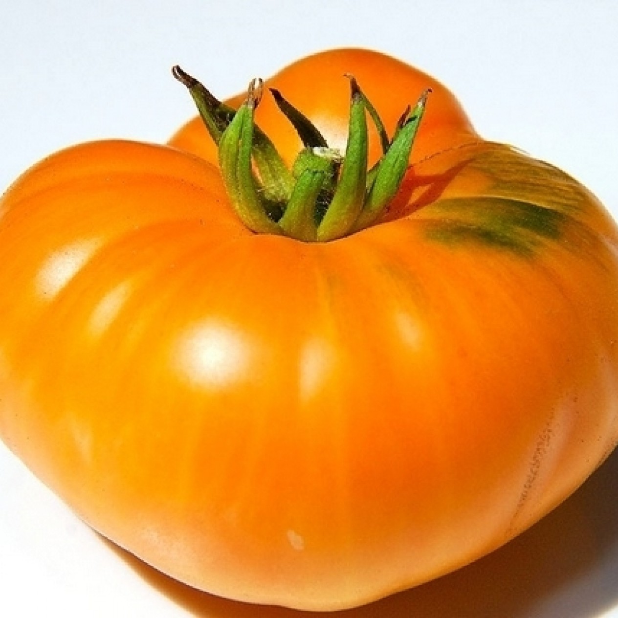 295473-vleestomaat-persimmon