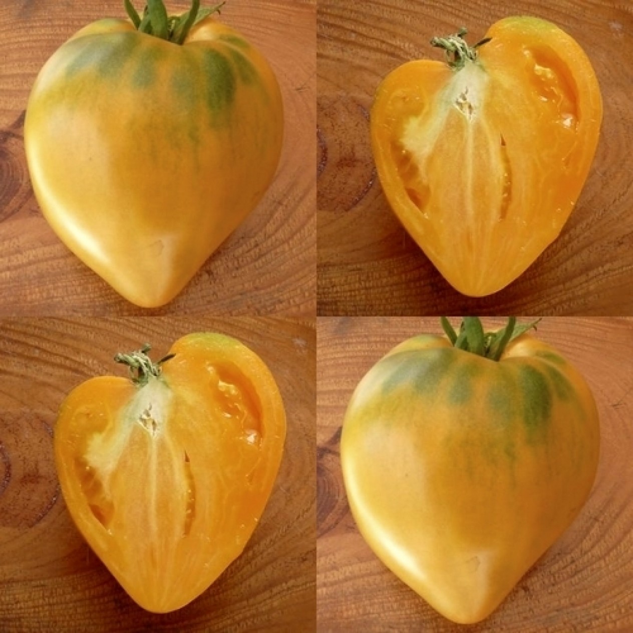 295860-vleestomaat-yellow-oxheart-coeur-boeuf-jaune