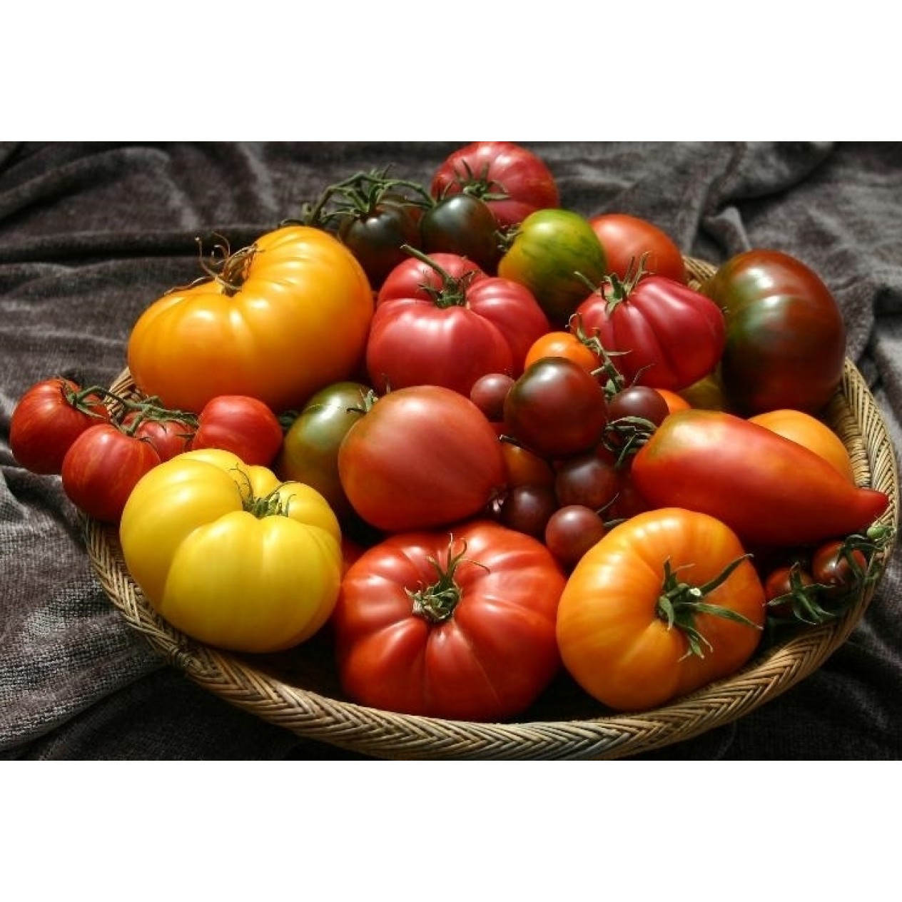 295910-heirloom-collectie-10-schaarse-varieteiten