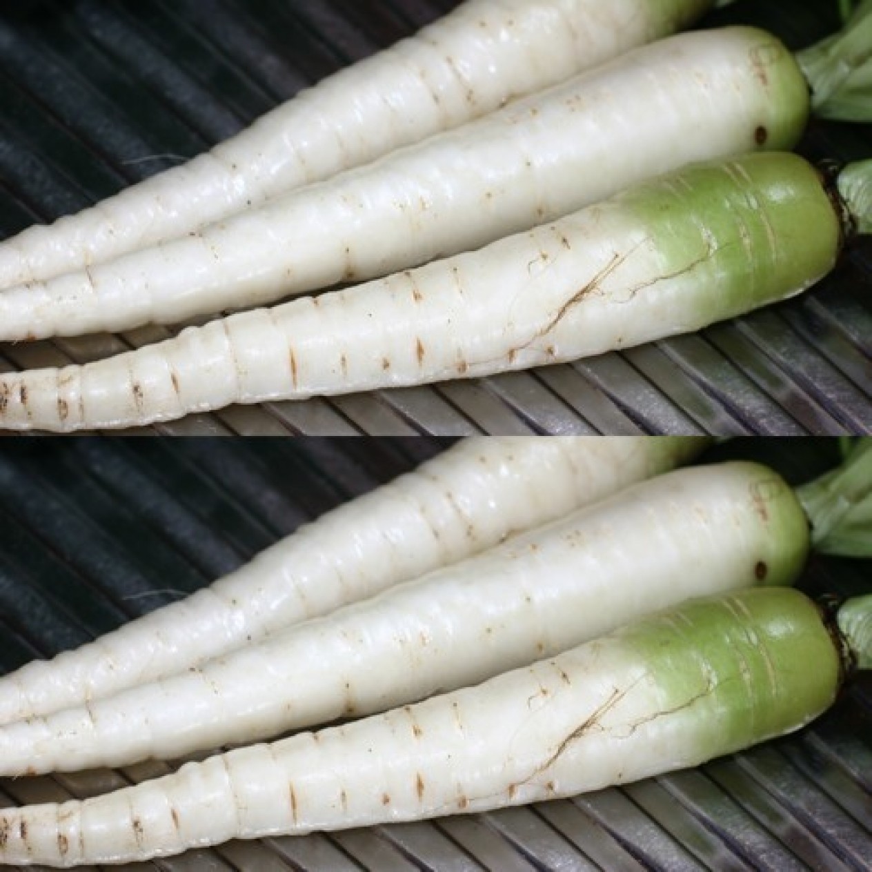 328370-winterwortelen-white-belgian-green-topped-white-blanche-collet-vert