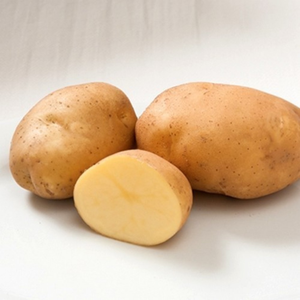 405480-aardappels-satina