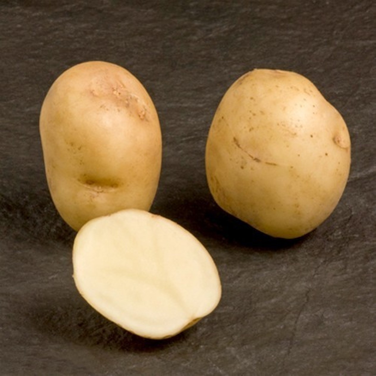 405600-aardappels-suttons-foremost