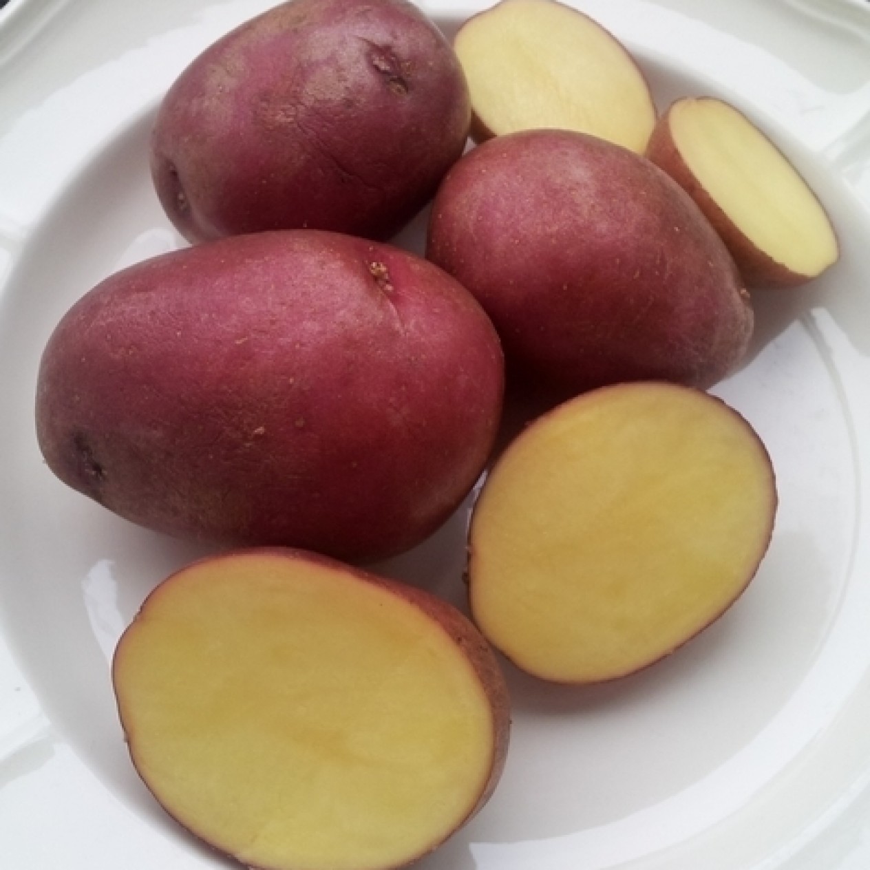 405650-aardappels-tiamo