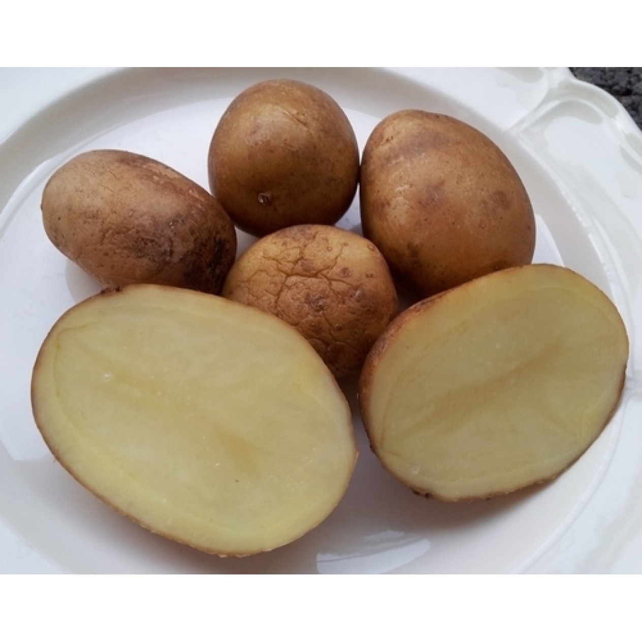405999-aardappels-blumenau-brazil