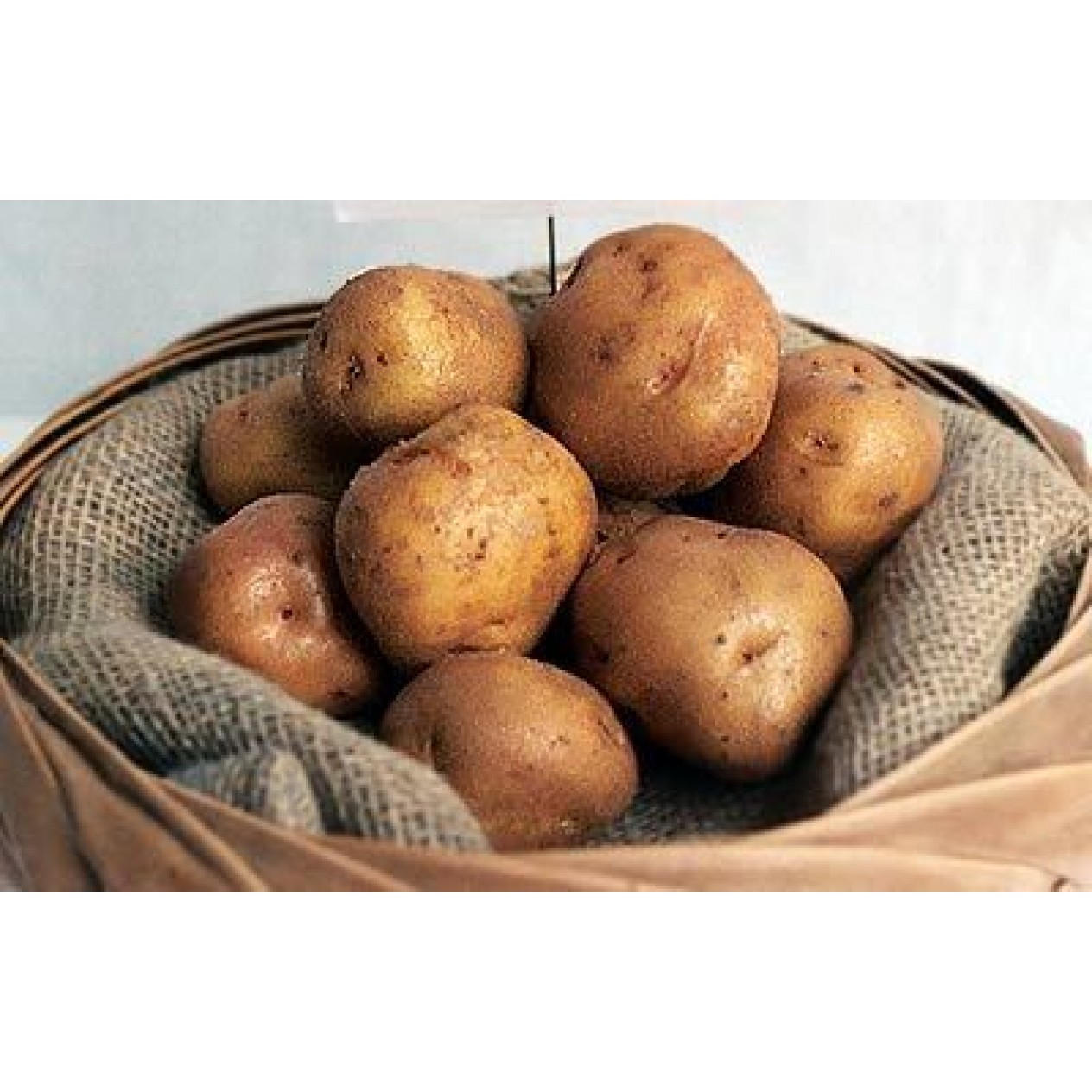406000-aardappels-british-queen